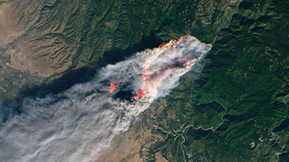Satellite view of large wildfire